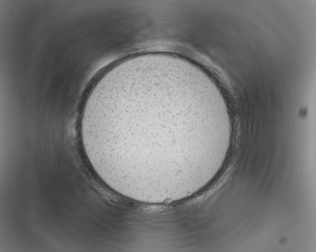 X0000116671166201001251233