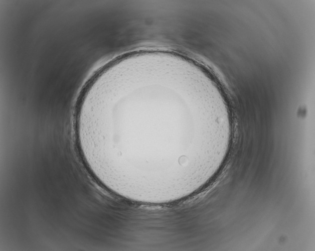 X0000116671168201001251233