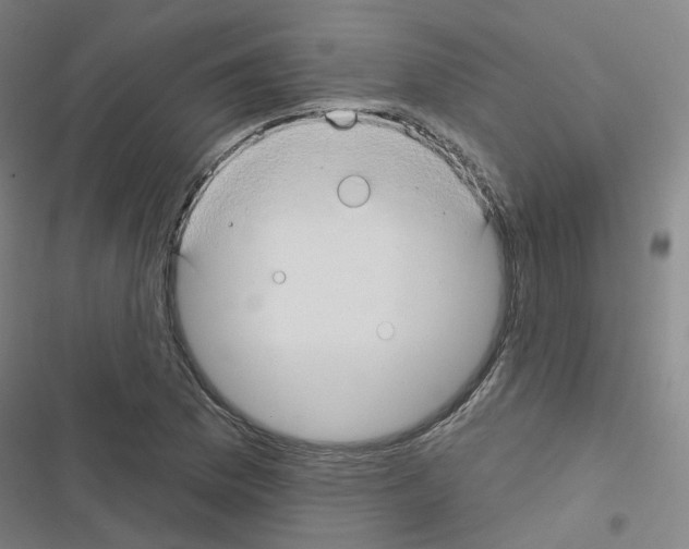 X0000116671169201001251233