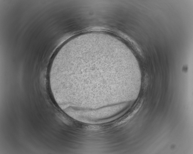 X0000116671170201001251233