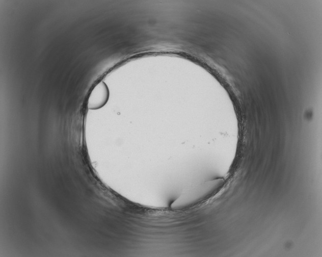 X0000116671171201001251233
