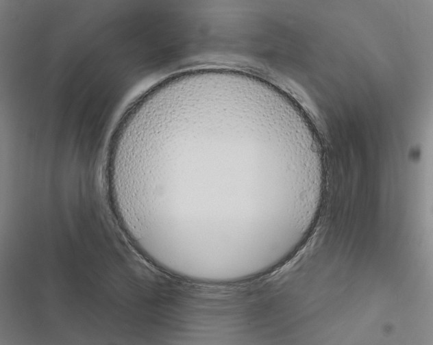 X0000116671172201001251233