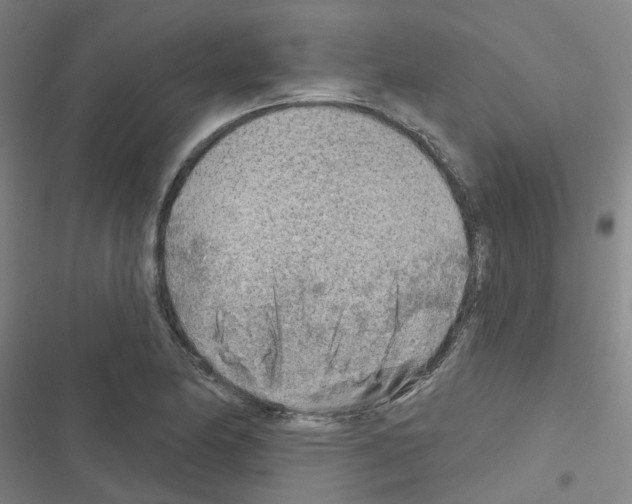 X0000116671174201001251232