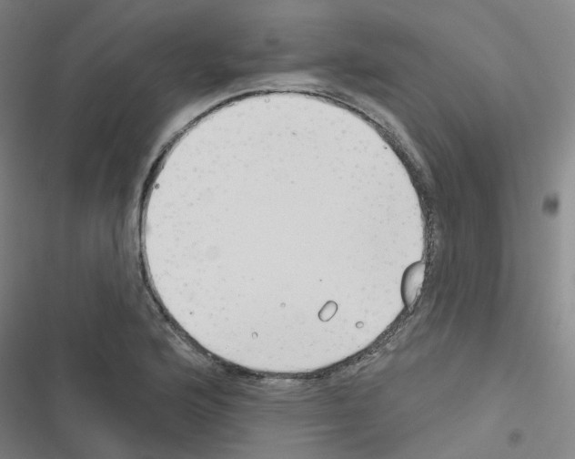 X0000116671176201001251232