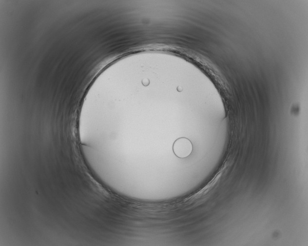 X0000116671177201001251232