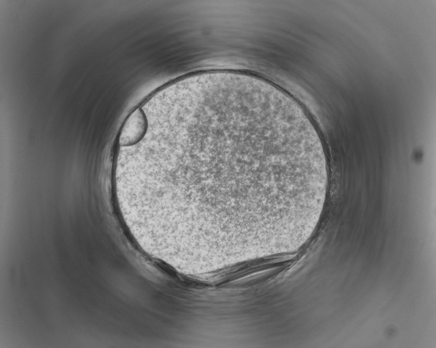 X0000116671179201001251232
