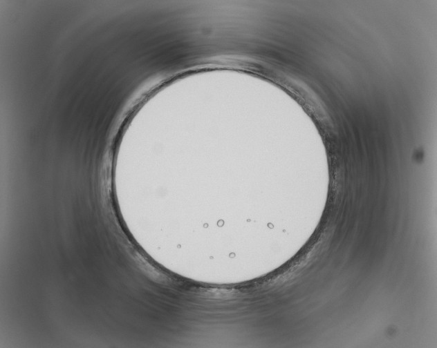 X0000116671180201001251232