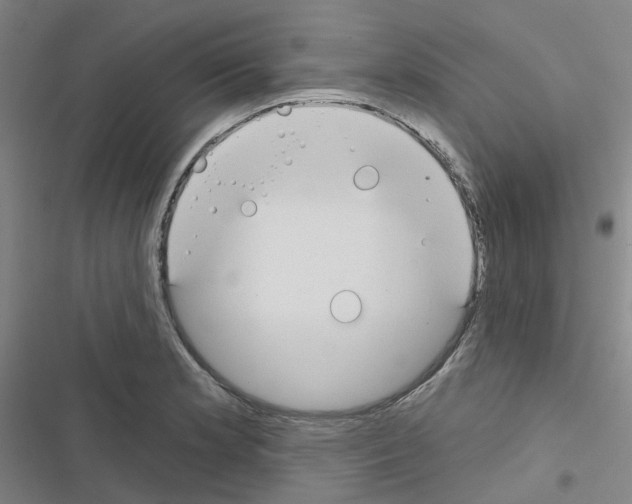 X0000116671181201001251232