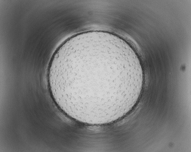 X0000116671182201001251232