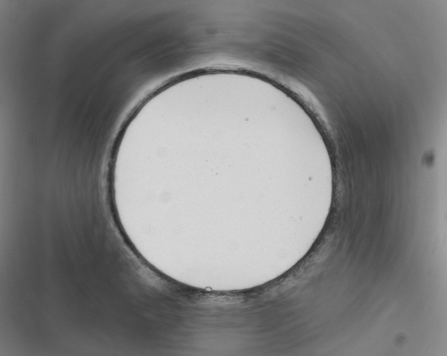 X0000116671183201001251232