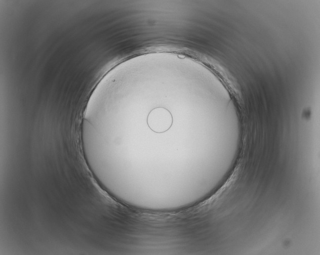 X0000116671185201001251232