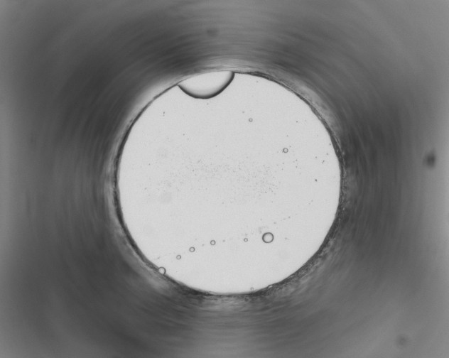 X0000116671187201001251232