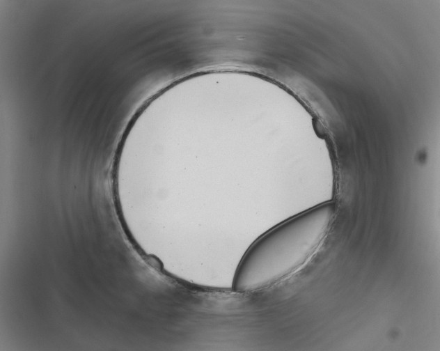 X0000116671189201001251232