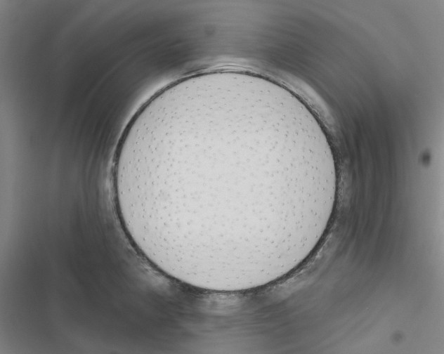 X0000116671190201001251232