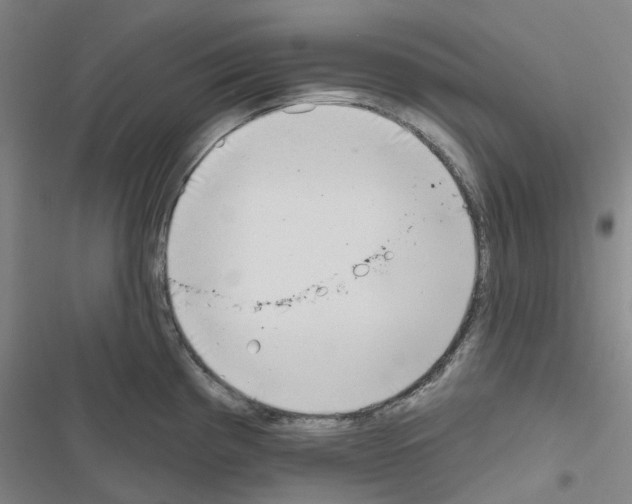 X0000116671193201001251232
