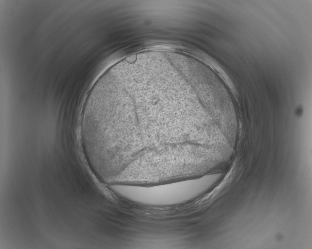 X0000116671194201001251232