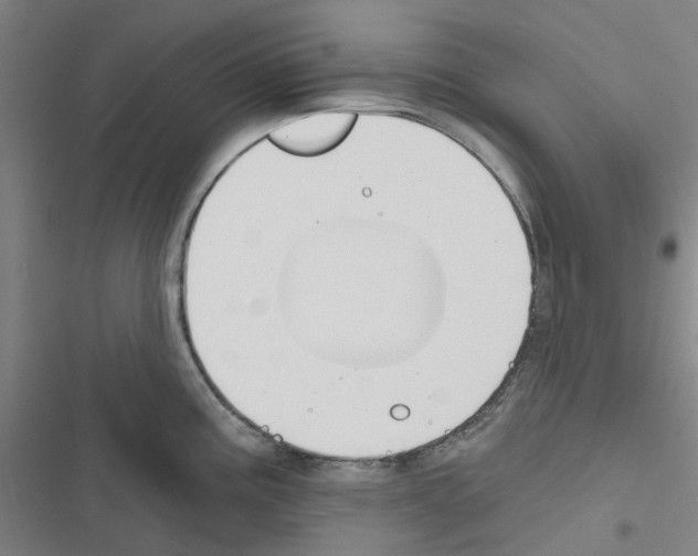 X0000116671195201001251232