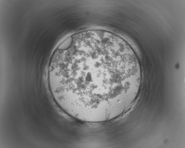 X0000116671198201001251232
