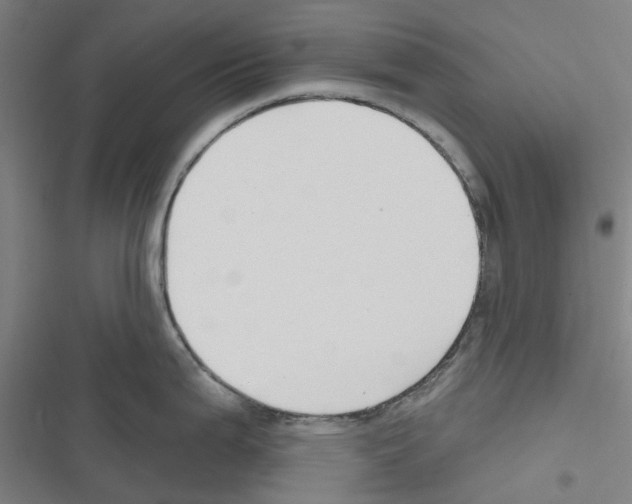 X0000116671199201001251232