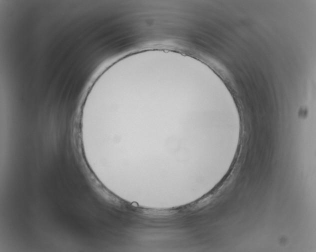 X0000116671200201001251232
