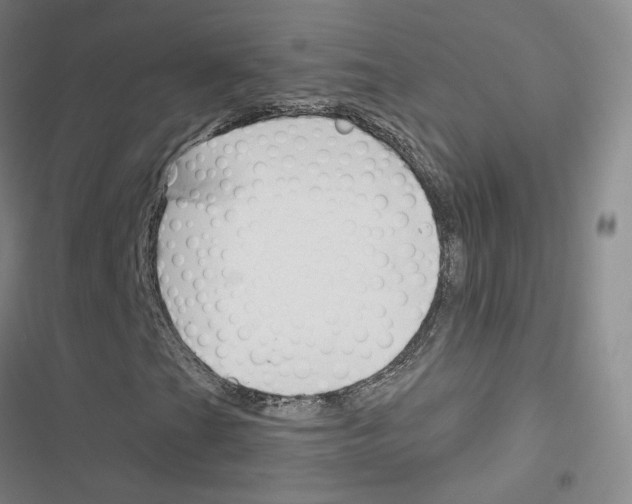 X0000116671201201001251231