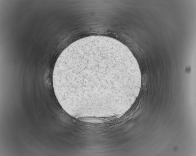 X0000116671202201001251231