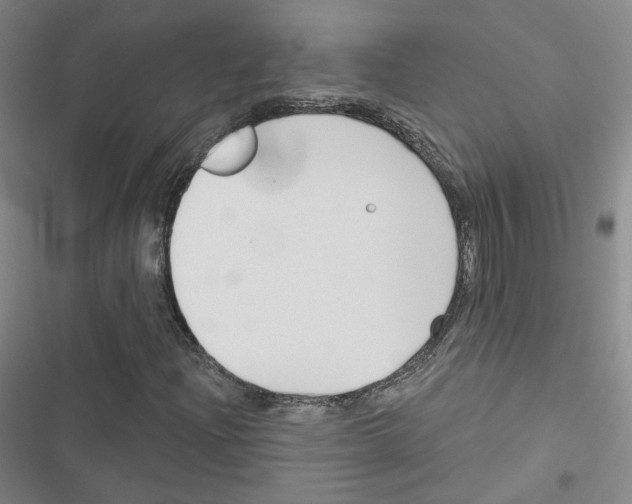 X0000116671204201001251232