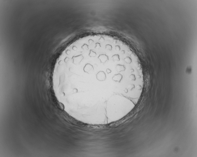 X0000116671205201001251232
