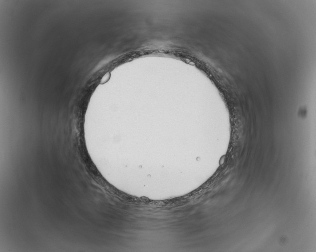 X0000116671206201001251232