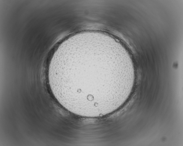 X0000116671211201001251232