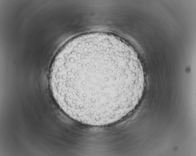 X0000116671212201001251232