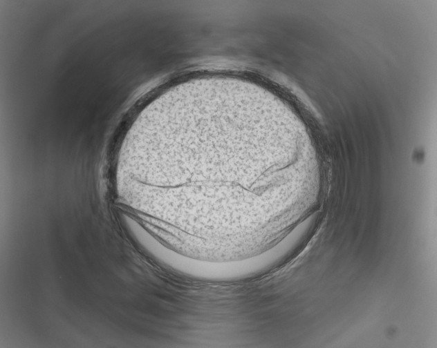 X0000116671213201001251232