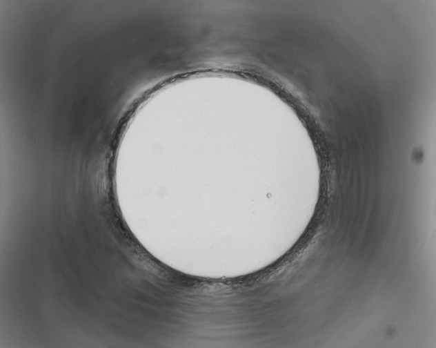 X0000116671214201001251232