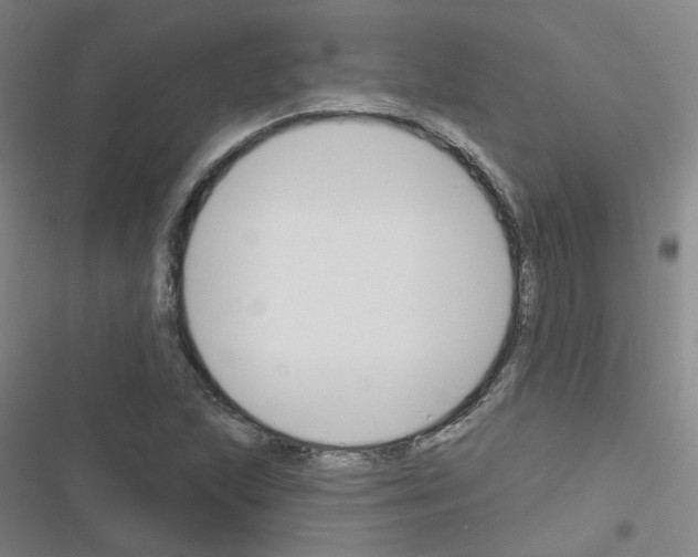 X0000116671215201001251232