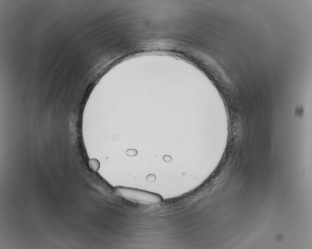X0000116671217201001251232