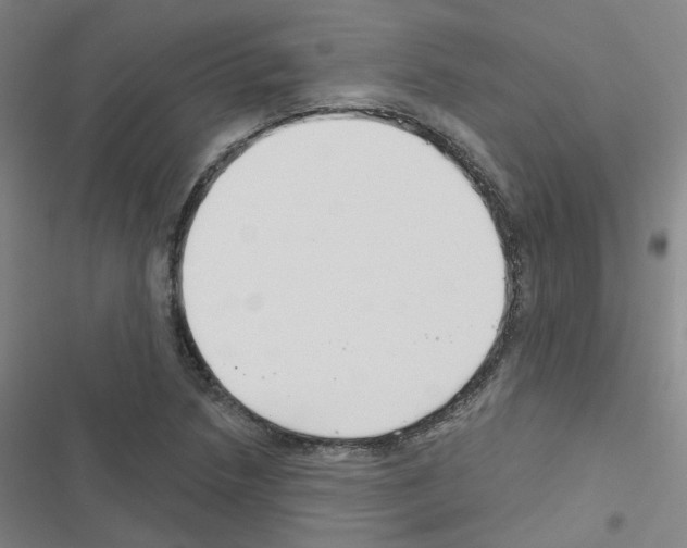 X0000116671218201001251232