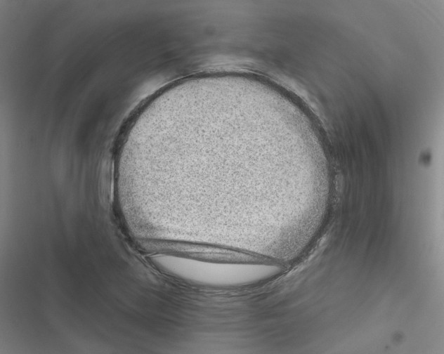 X0000116671219201001251232