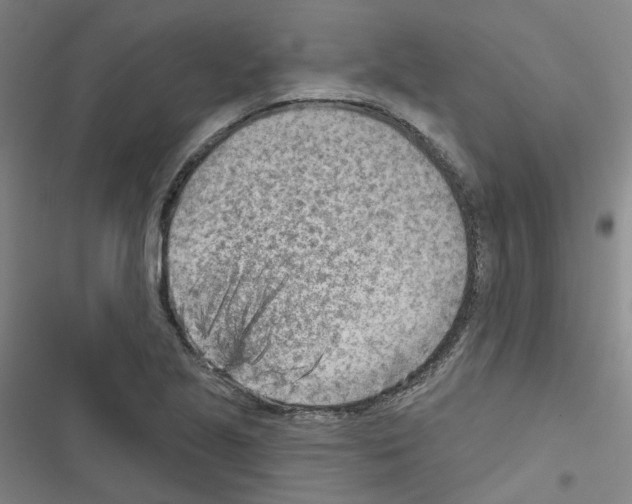 X0000116671221201001251232