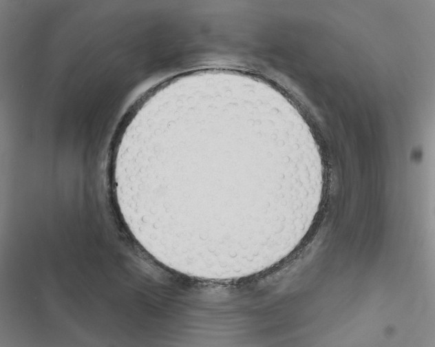 X0000116671222201001251232