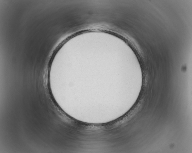 X0000116671224201001251232