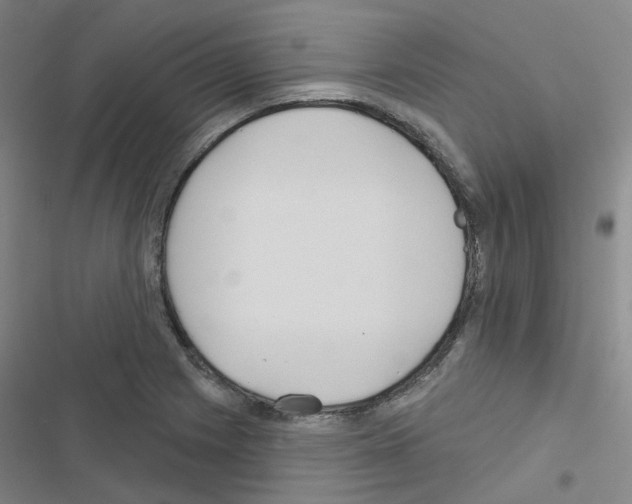 X0000116671225201001251232