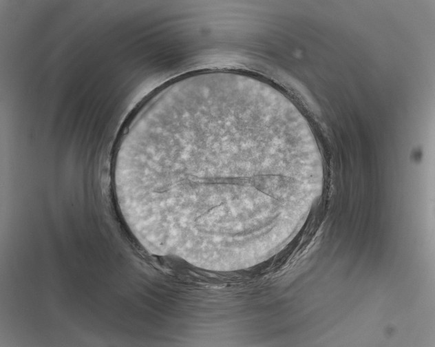 X0000116671226201001251232
