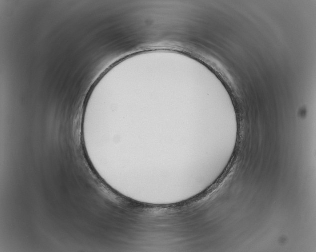 X0000116671228201001251232