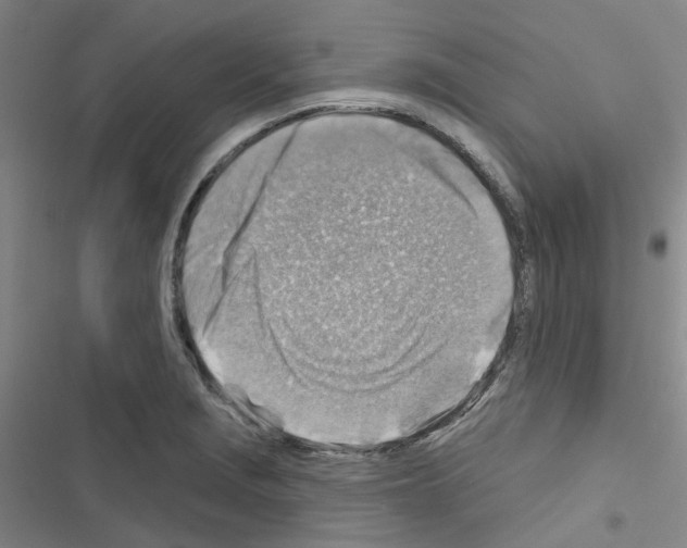 X0000116671229201001251232