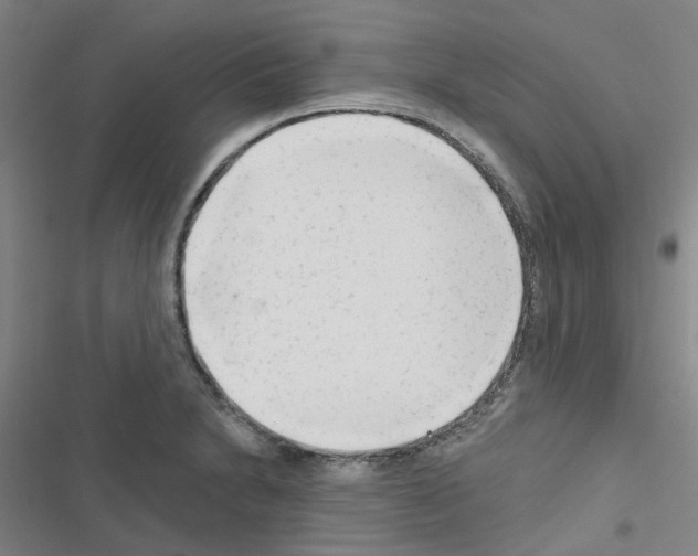 X0000116671230201001251232