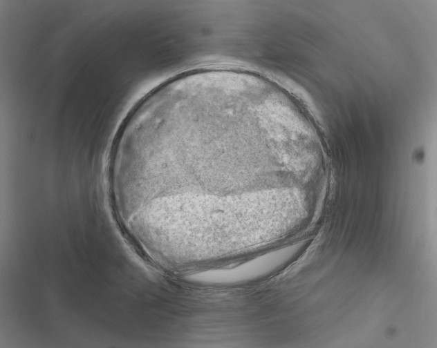 X0000116671231201001251232