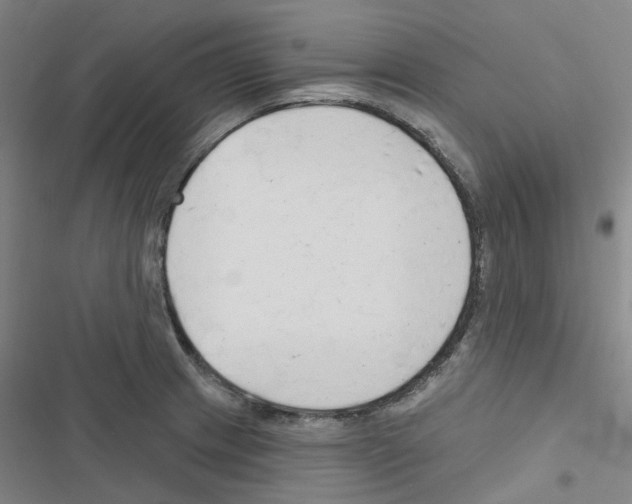 X0000116671233201001251232