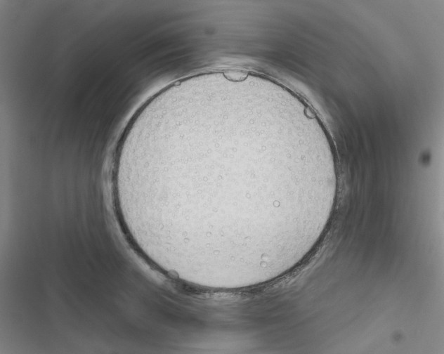 X0000116671235201001251232
