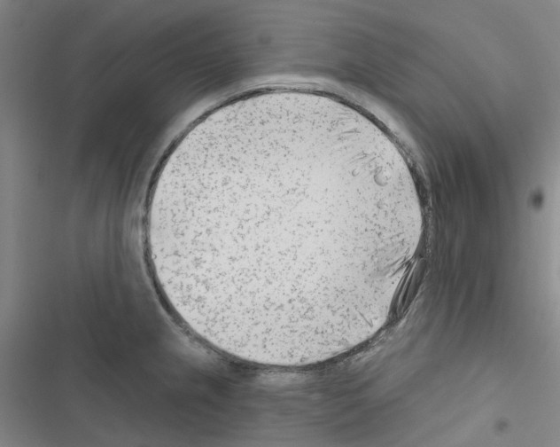 X0000116671237201001251232