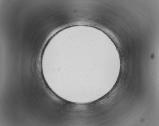 X0000116671238201001251232